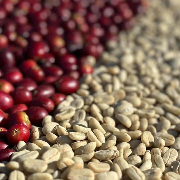 90 specialty plus ninety specialty