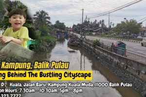 Balik Kampung di Balik Pulau