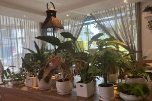 Cafe Cafe at Texas Inn