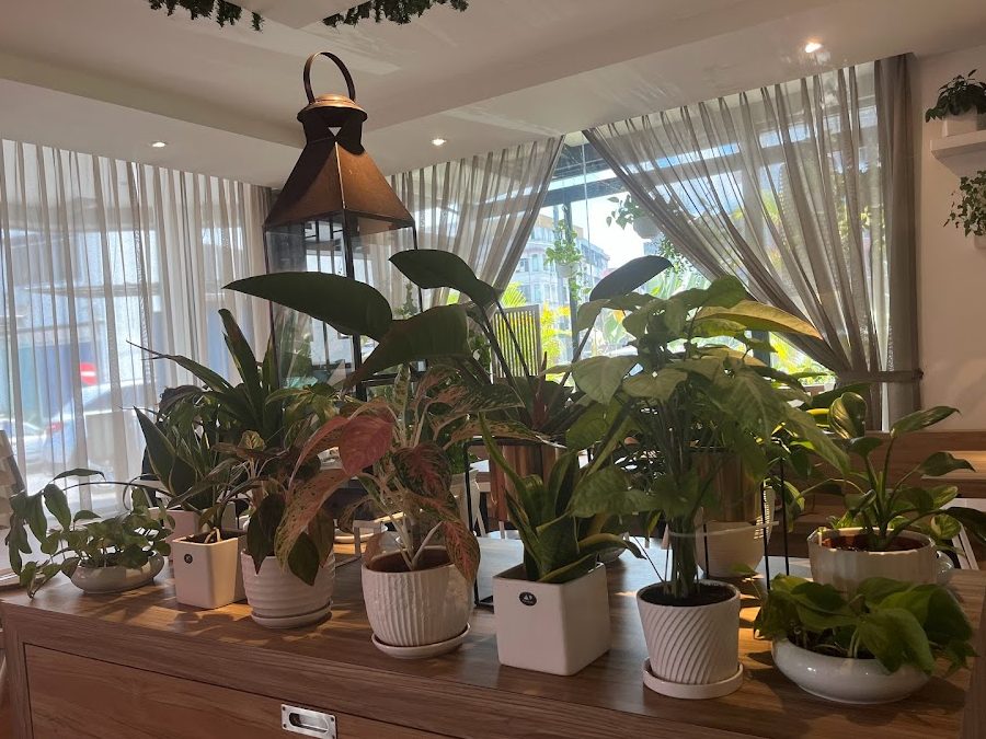 cafe cafe at texas inn