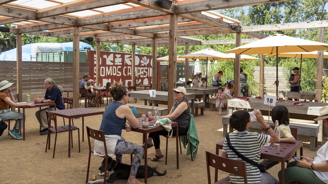 cafe in the farm