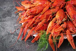 D’Bendang Udang Galah