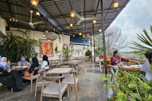 Denali & Pinnacles The Wanderer’s cafe