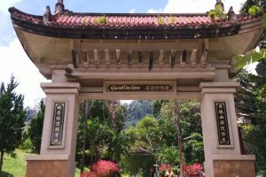 ตะทู้day halal food&coffee betong