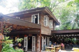 Kedai Pohon Sireh Dale Rhu