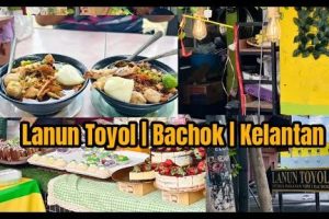 Mee Celup Lanun Toyol