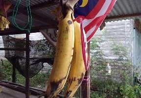 Pisang Goreng Ghafar Dan Cendol Powerr