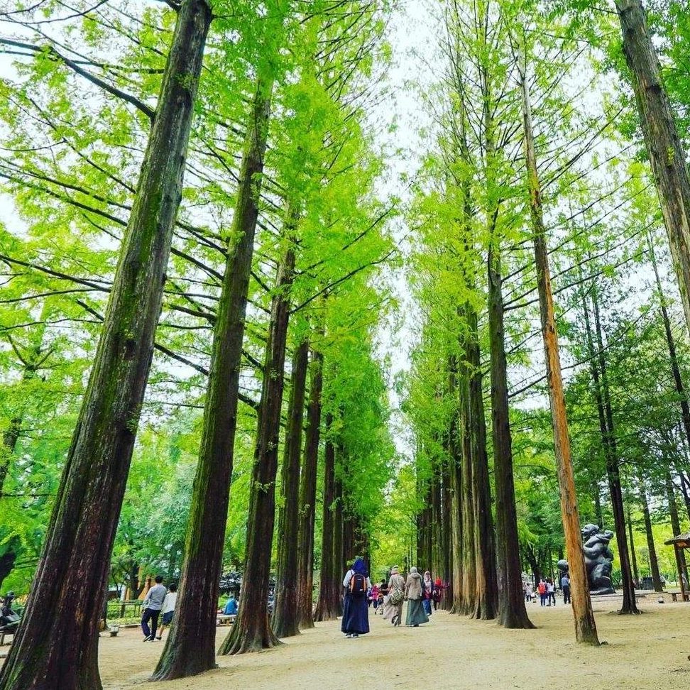 Warong Nami Island 1 warong nami island