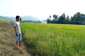 Warung Tepi Bendang Rizqie